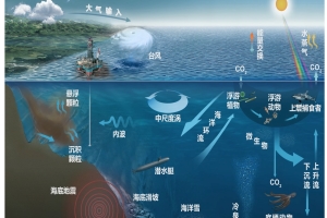 中國科學(xué)院南海海底觀測子網(wǎng)項(xiàng)目可行性研究報(bào)告.jpg